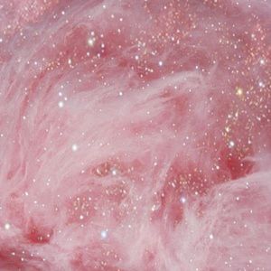 Meet your Posher, Abigail